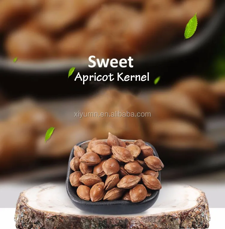 apricot seeds.jpg