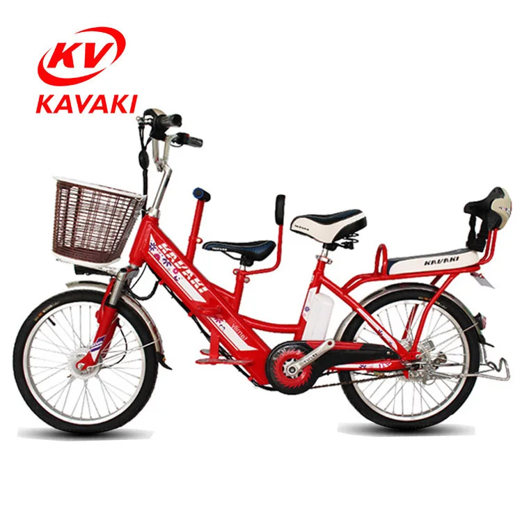 family electric bike