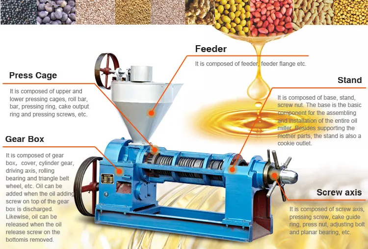 Efficient screw castor seed oil press for biodiesel oil