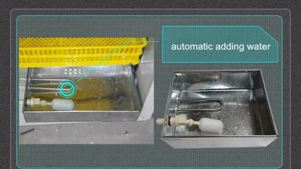 Best Egg Incubator Price,Automatic Egg Incubator For Sale ...