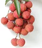 fruits and vegetables fresh lychee litchi not canned