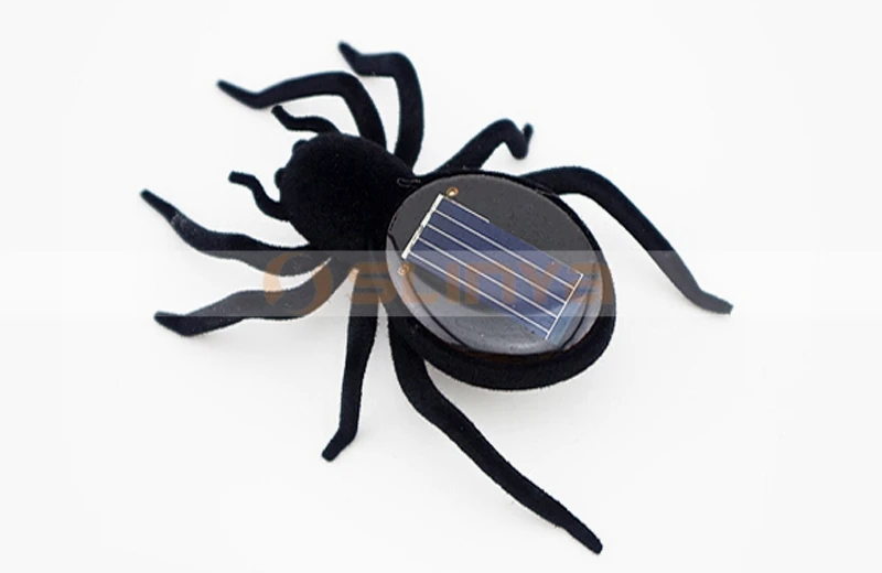 Solar spiders 8032 150108 (3).jpg