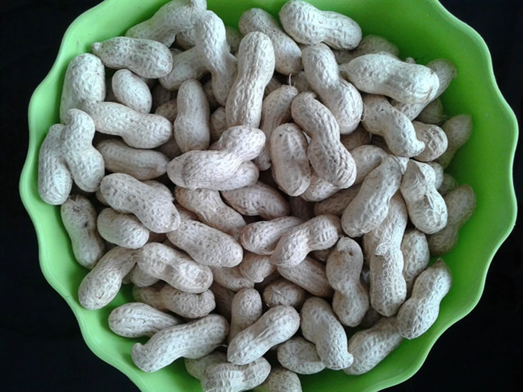 Peanut in shell 911_.jpg