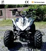 /product-detail/hot-sell-thunder-125cc-atv-125cc-sports-atv-4-wheel-motorcycle-for-adult-60463099158.html