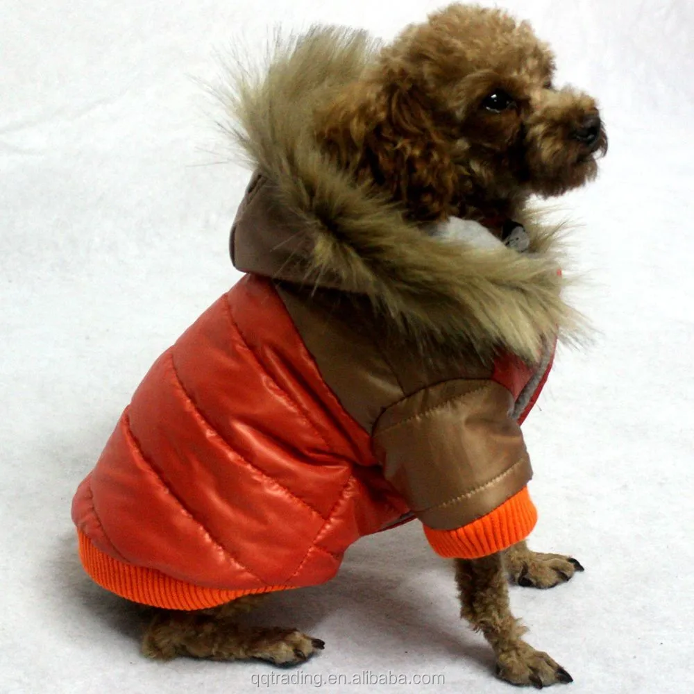 funny dog life jacket