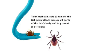 Ticked Off Original 3-Pack Tick Remover Assorted Colors For Safe /& Easy Removal