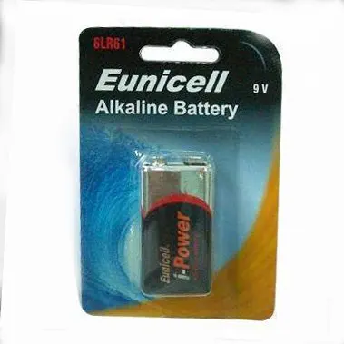 6LR61 Alkaline Batteries with card