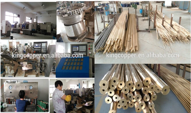 company information.jpg