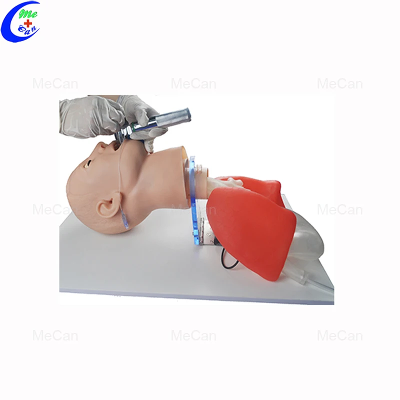 ENDOTRACHEAL INTUBATION TRAINING MODEL