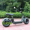 2000w 1500w citycoco front back suspension fat tire city sightseeing bus for sale/electric scooter europe
