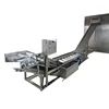 Fish Ice Coating Machine