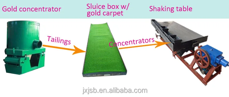 gold carpet flow.jpg