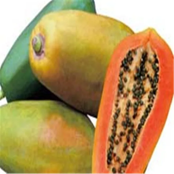 Семена Папайи Купить В Аптеке