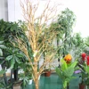 Lifelike artificial coral branches for home decoration, various colors of coral trees.