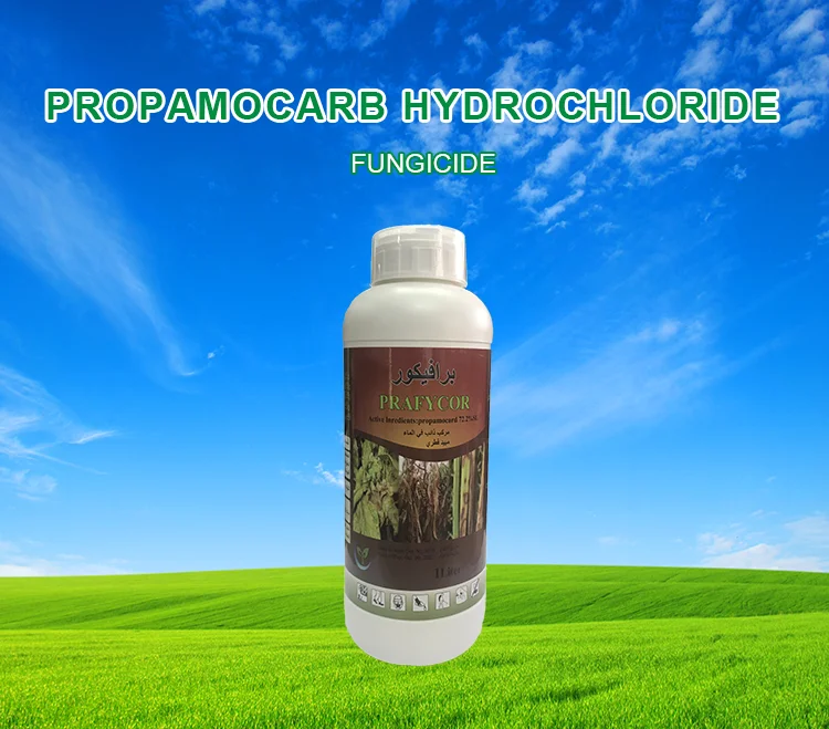 Top Agrochemicals Fungicide Propamocarb Hydrochloride Plants Lawn ...