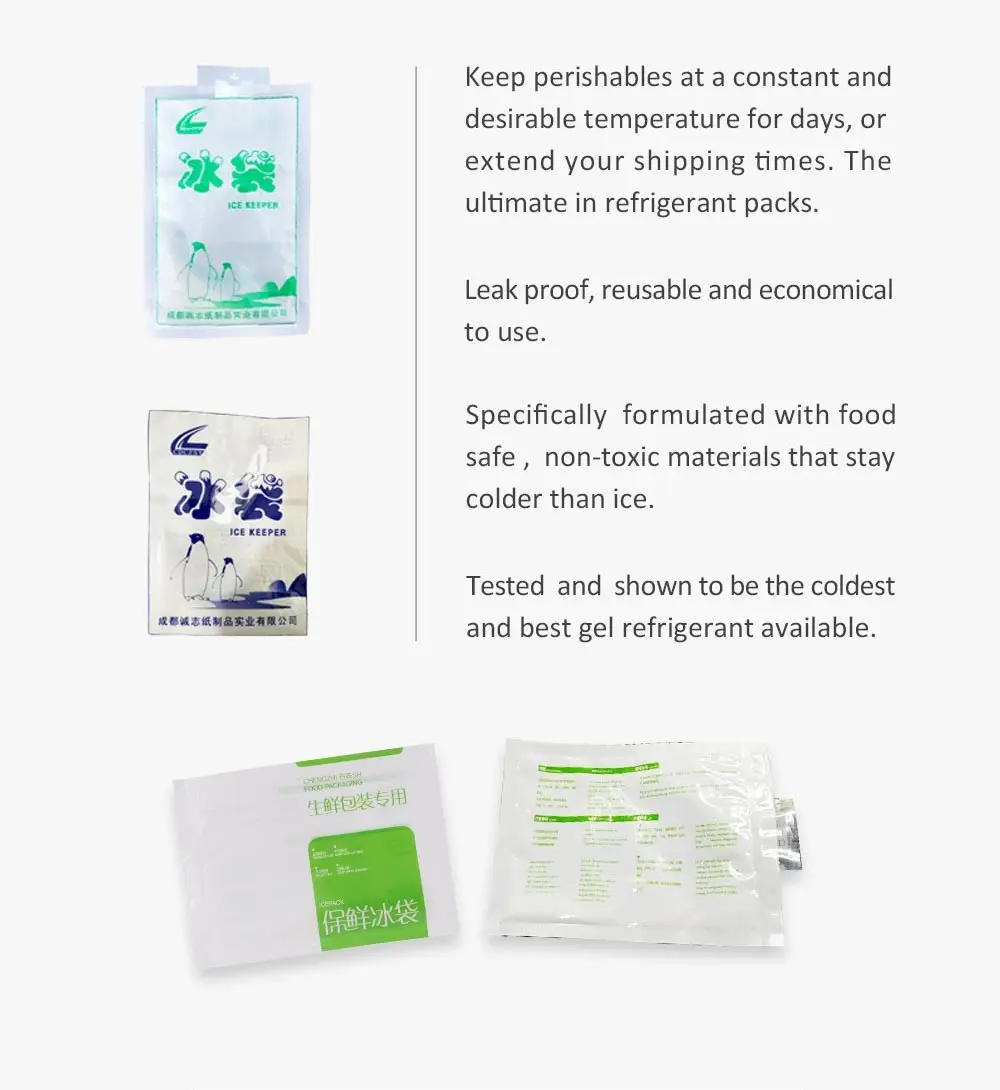 The Latest Small Ice Packs For Food Transportation Buy Cool Pack