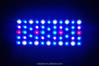 55x3w cidly dimmable led