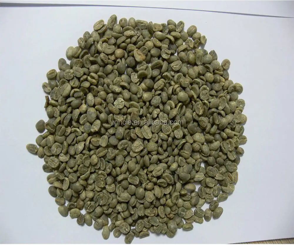 Unroasted Coffee Beans >> Chinese Yunnan Green Coffee Beans Mesh 14 Up Arabica Type Unroasted Coffee Beans Buy Coffee Beans Green Coffee Beans Unroasted Coffee Beans Product Unroasted Coffee Beans >> Chinese Yunnan Green Coffee Beans Mesh 14 Up Arabica Type Unroasted Coffee Beans Buy Coffee Beans Green Coffee Beans Unroasted Coffee Beans Product