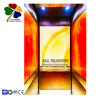 HOT Selling City Lift Elevator with Best Price Residence House Hotel Plaza
