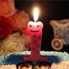 Frog Cartoon Memorial Arabic Numerals Happy Birthday Candle