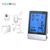 Buy Outdoor Wireless Digital Home Weather Forecast Station With Rain Gauge
