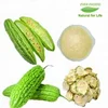 Immune Support Bitter Melon P. E.