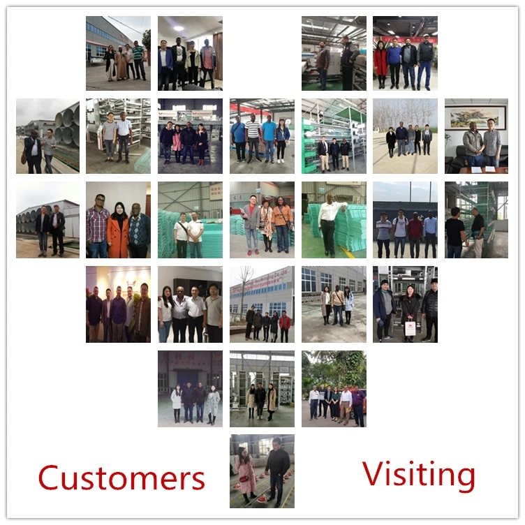 Customers visited chicken drinker factory_.jpg
