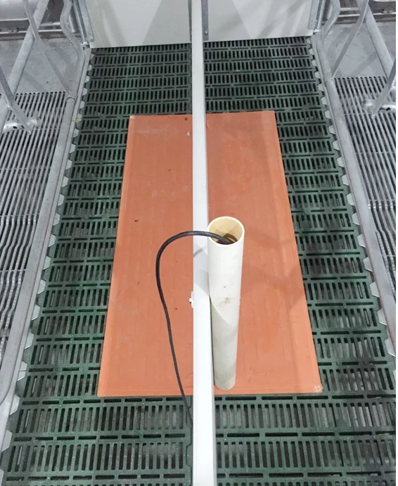 Farrowing Crate Piglet Warming Plate Electric Fiberglass Heating Pads