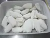 Pineapple cuttlefish