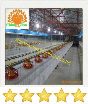 Automatic Chicken Feeder Line Poultry Pan Feeder Buy Chicken