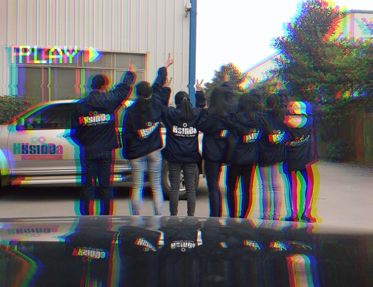 Hsinda Ral 4008 Gloss Purple Electrostatic Spray Paint Food Grade Epoxy Powder Coating