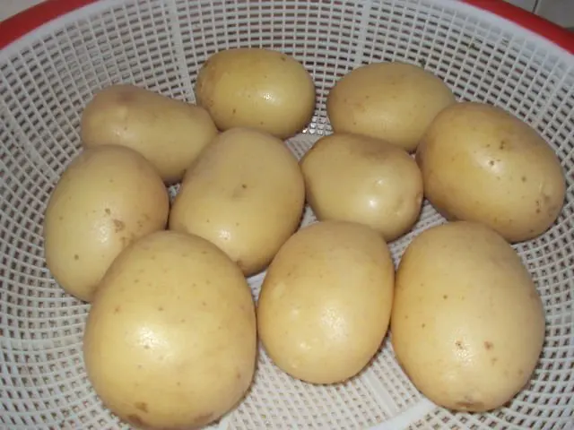 Yellow Potato 1
