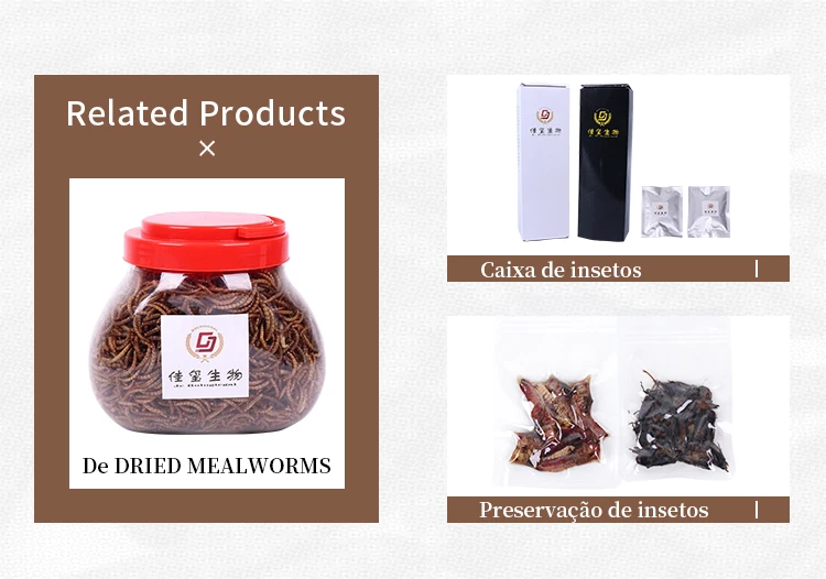 High protein best quality microwave dried mealworm animal feed cat food