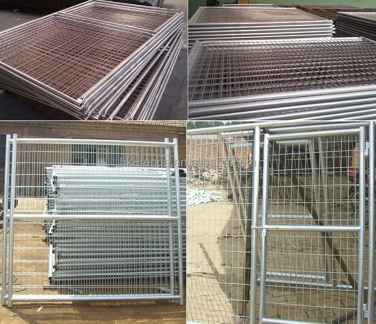 large dog kennel run