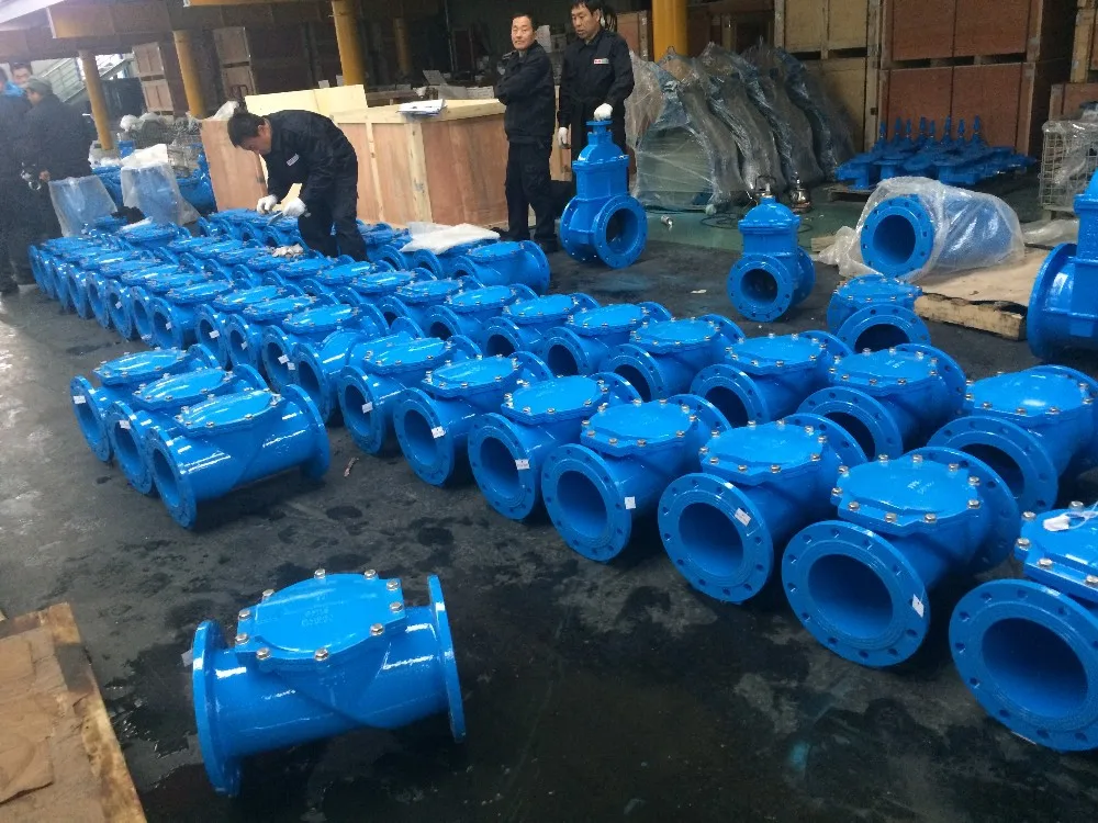 flange type non return  valve.JPG