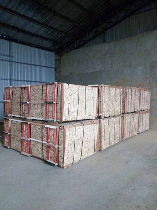 recon gurjan face veneer/ Commercial plywood poplar veneer