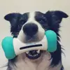 2019 new desgin bone shape world's first smart and interactive cat and dog toy with five colours