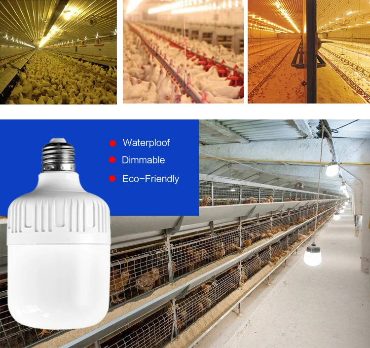 High Quality 7w 10w 12w 20w T80 Dimmable Chicken Farm Led Bulb Buy Ip