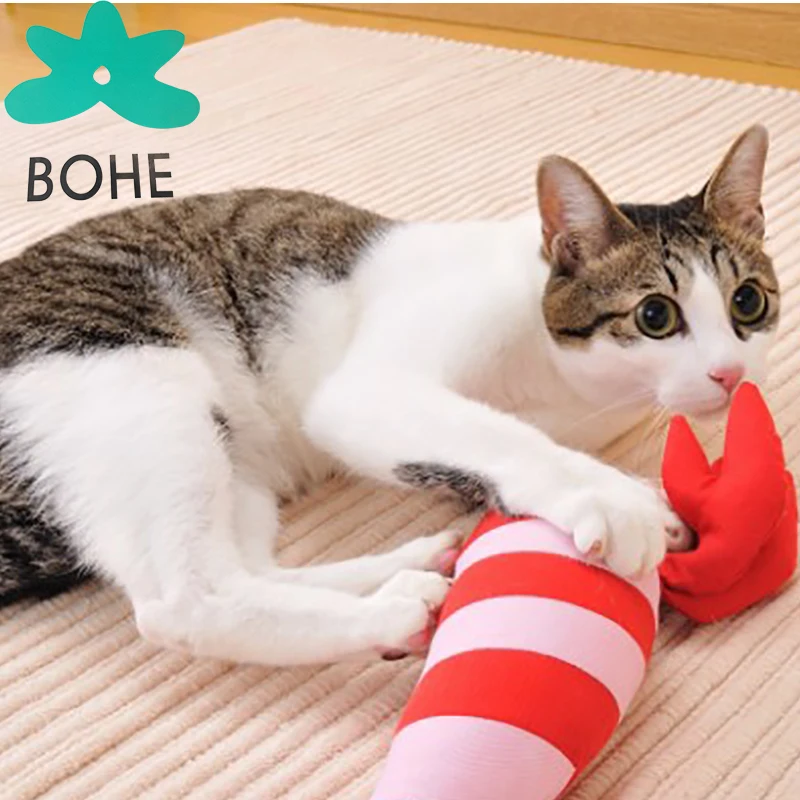 76 Gambar Gambar Kucing Online Kekinian 76 Gambar Gambar Kucing Online Kekinian