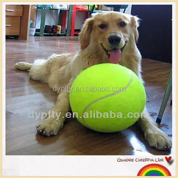 giant dog ball