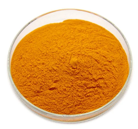 factory supply rhizoma curcumae longae extract