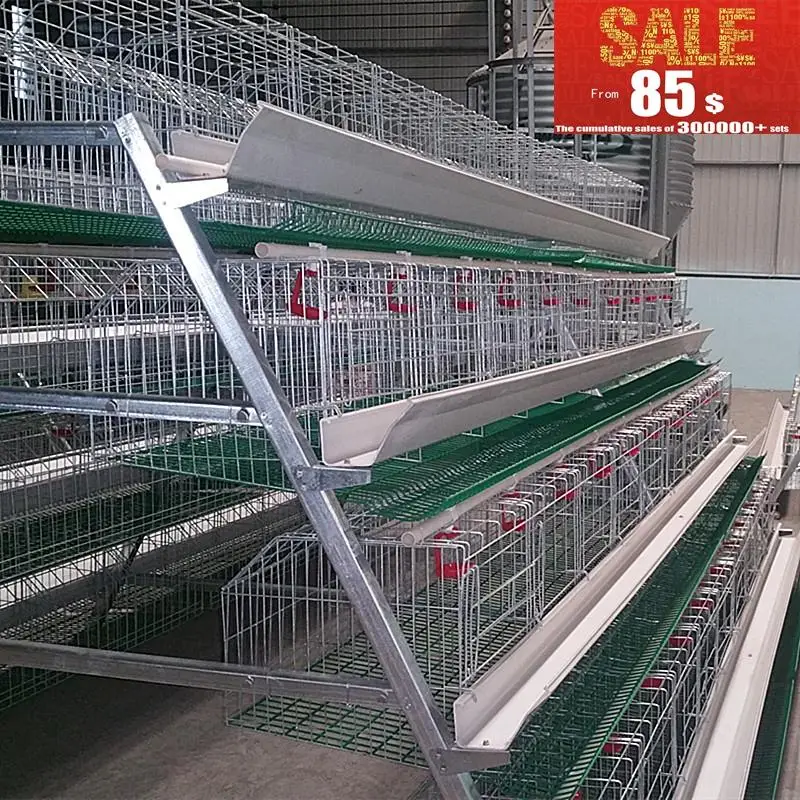 High Quality Layer Chicken Cage For Chicken Farm For Sri Lanka Buy
