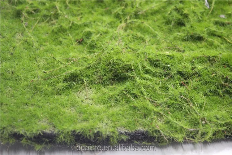 Wall Decoration Indoor Ornament Man Made Thick Moss Buy Fake Moss