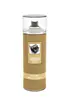 CTI Engine Spray Paint For Refinishing Engines And Transmissions