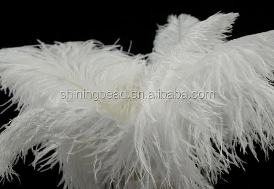 bevfabriccrafts_2064_270878917.jpg
