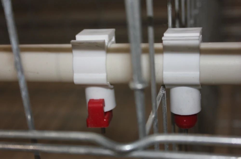 broiler battery cage system made in china for chicken pouultry farm