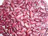 red speckled sugar beans for people