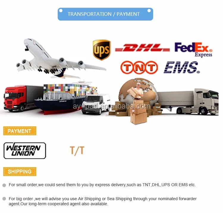 6 Transportion payment .jpg