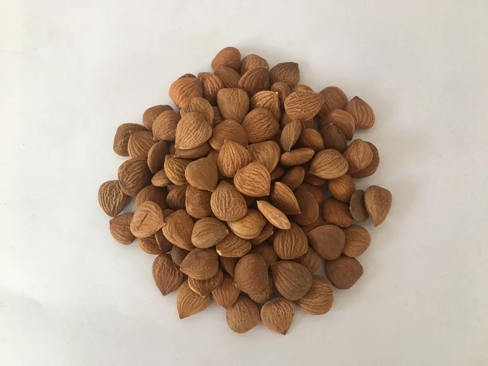 Manufacturer Of Organic Bitter Apricot Kernels B17 Cancer Cure Buy Organic Bitter Apricot 3992