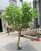 wholesale landscaping real trunk artificial fake green tree with many branches